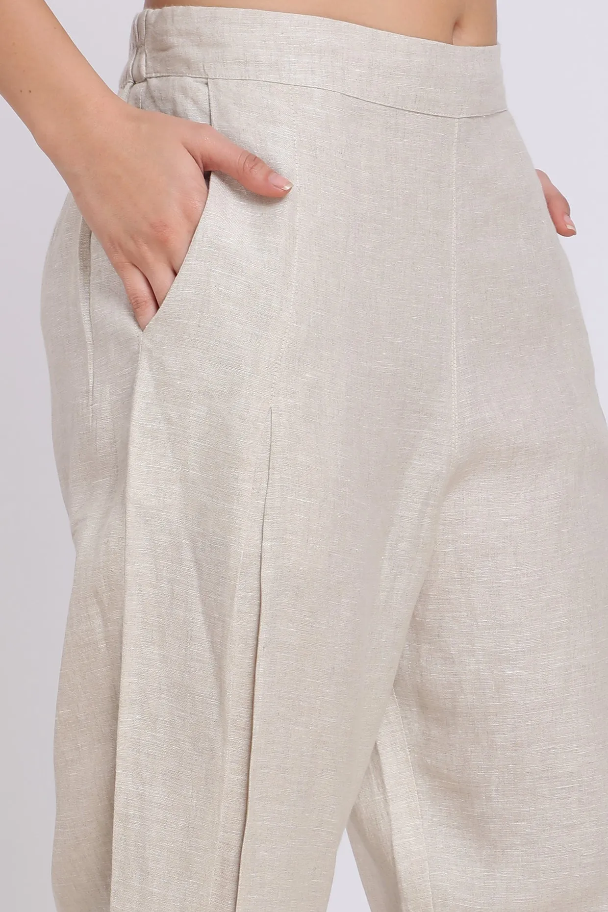 Beige Embroidered Pleated Pants