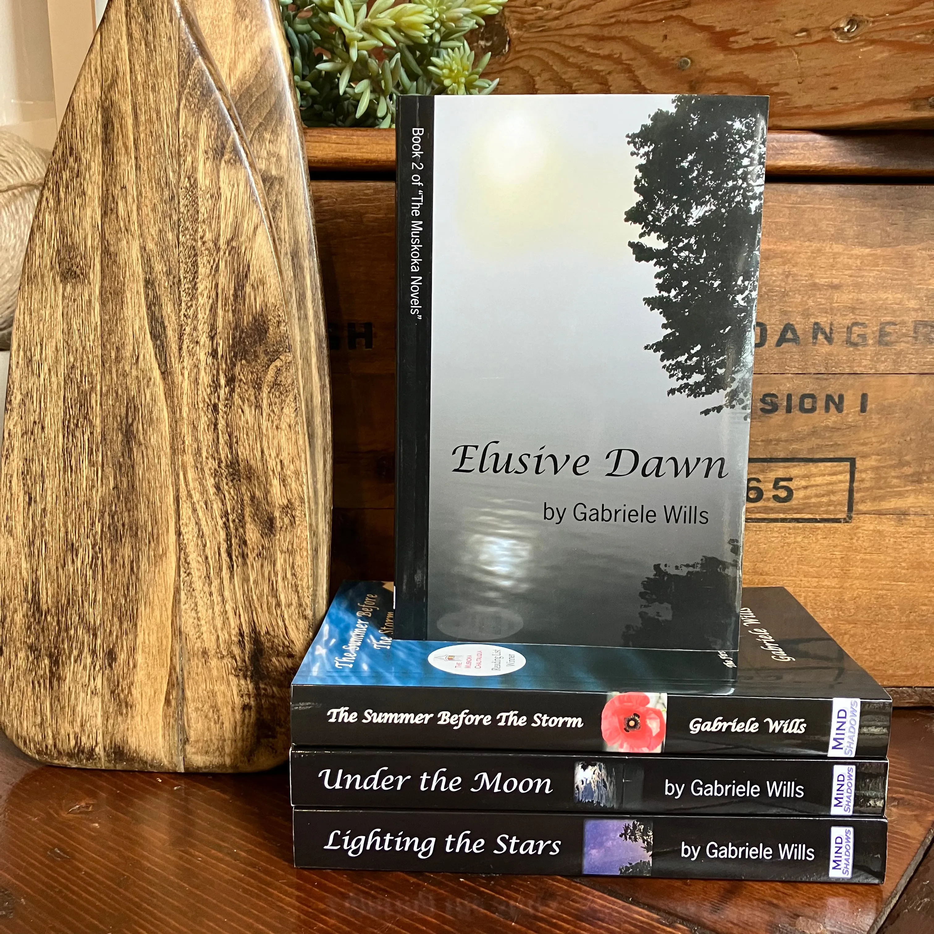 Book - Elusive Dawn