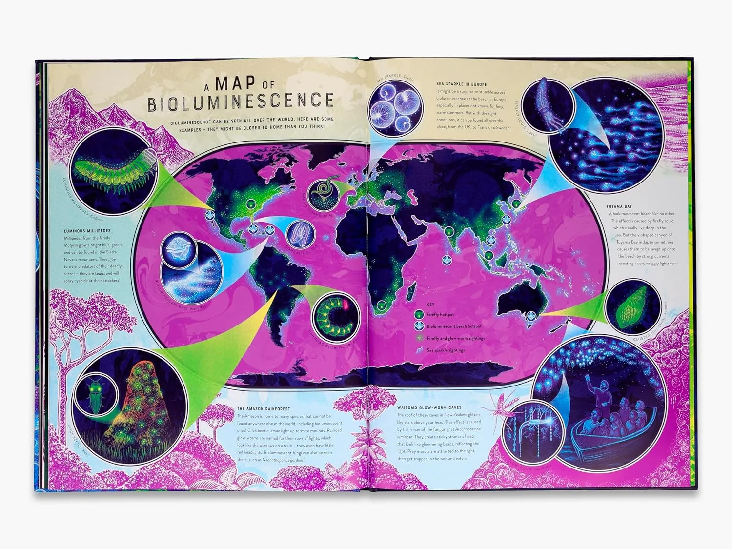 Glow: The Wild Wonders of Bioluminescence