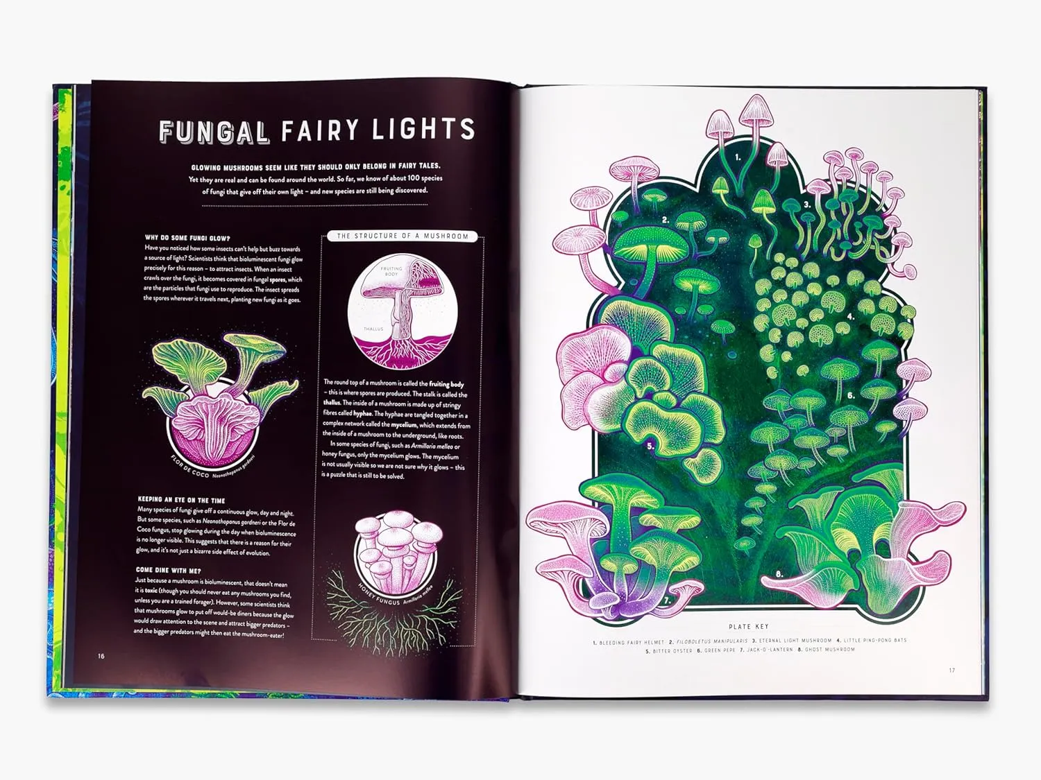 Glow: The Wild Wonders of Bioluminescence