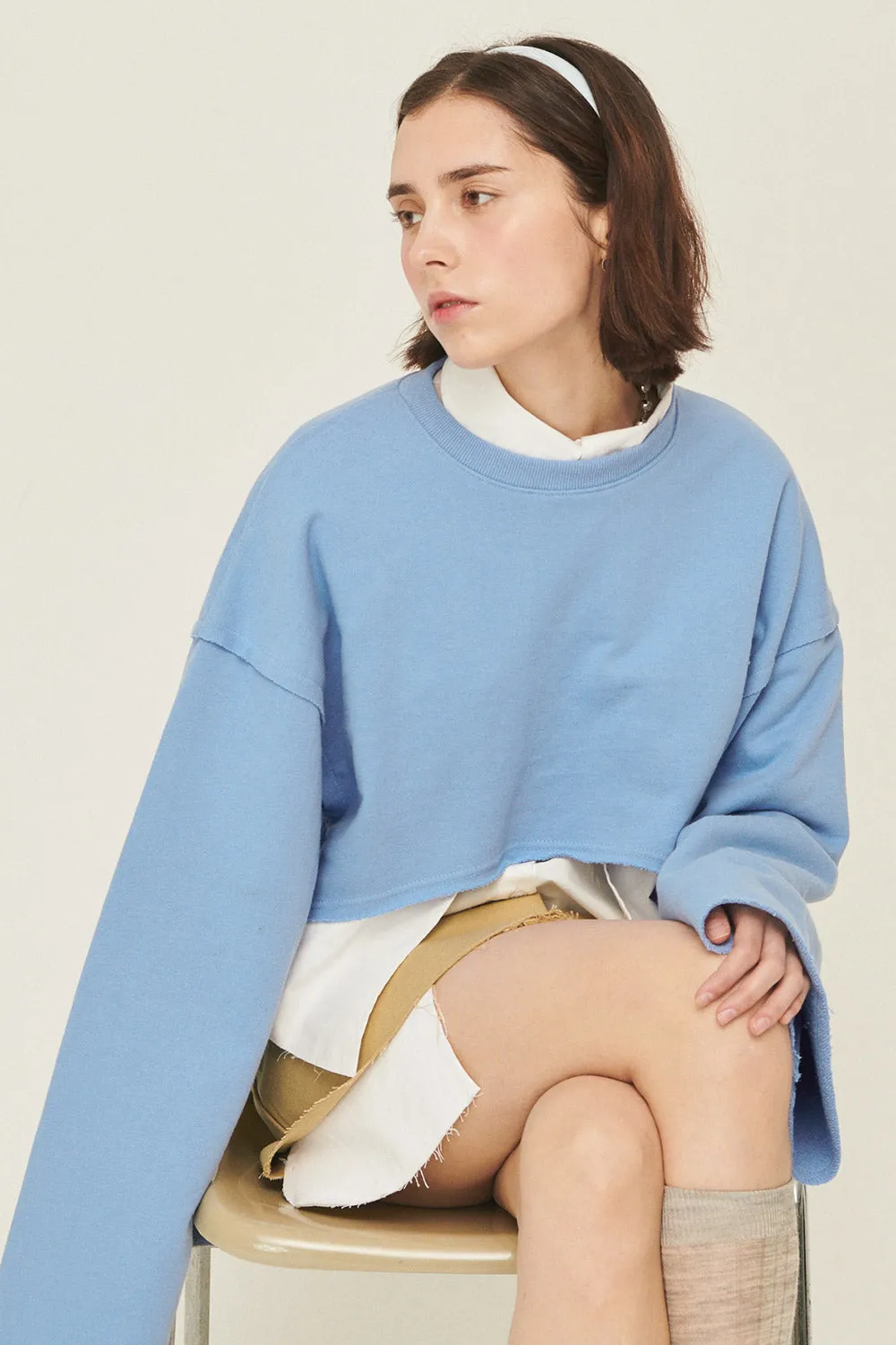 Sarah Arch Cropped Sweatshirt