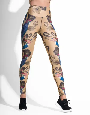 TOUCAN