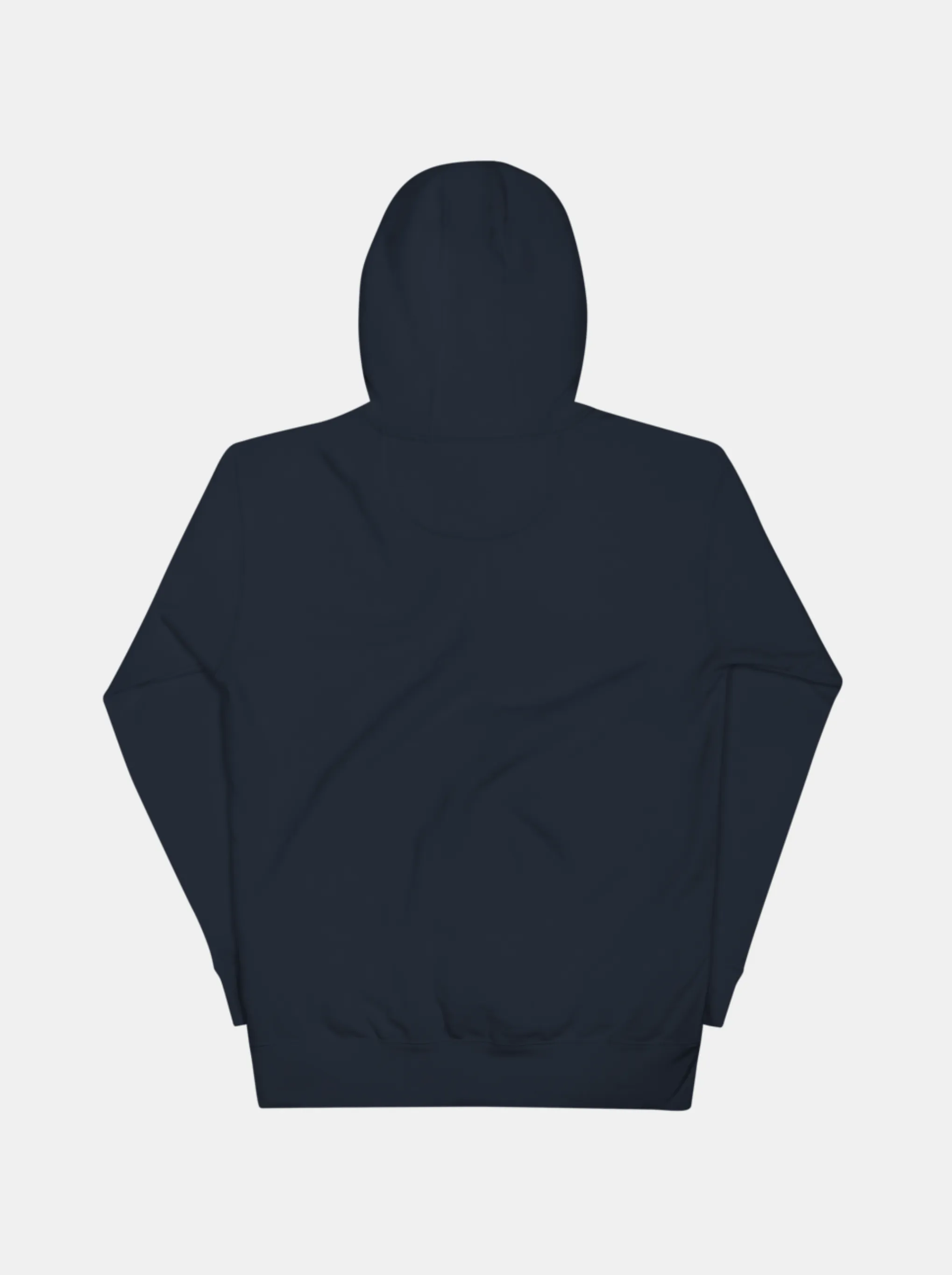 Wings Hoodie