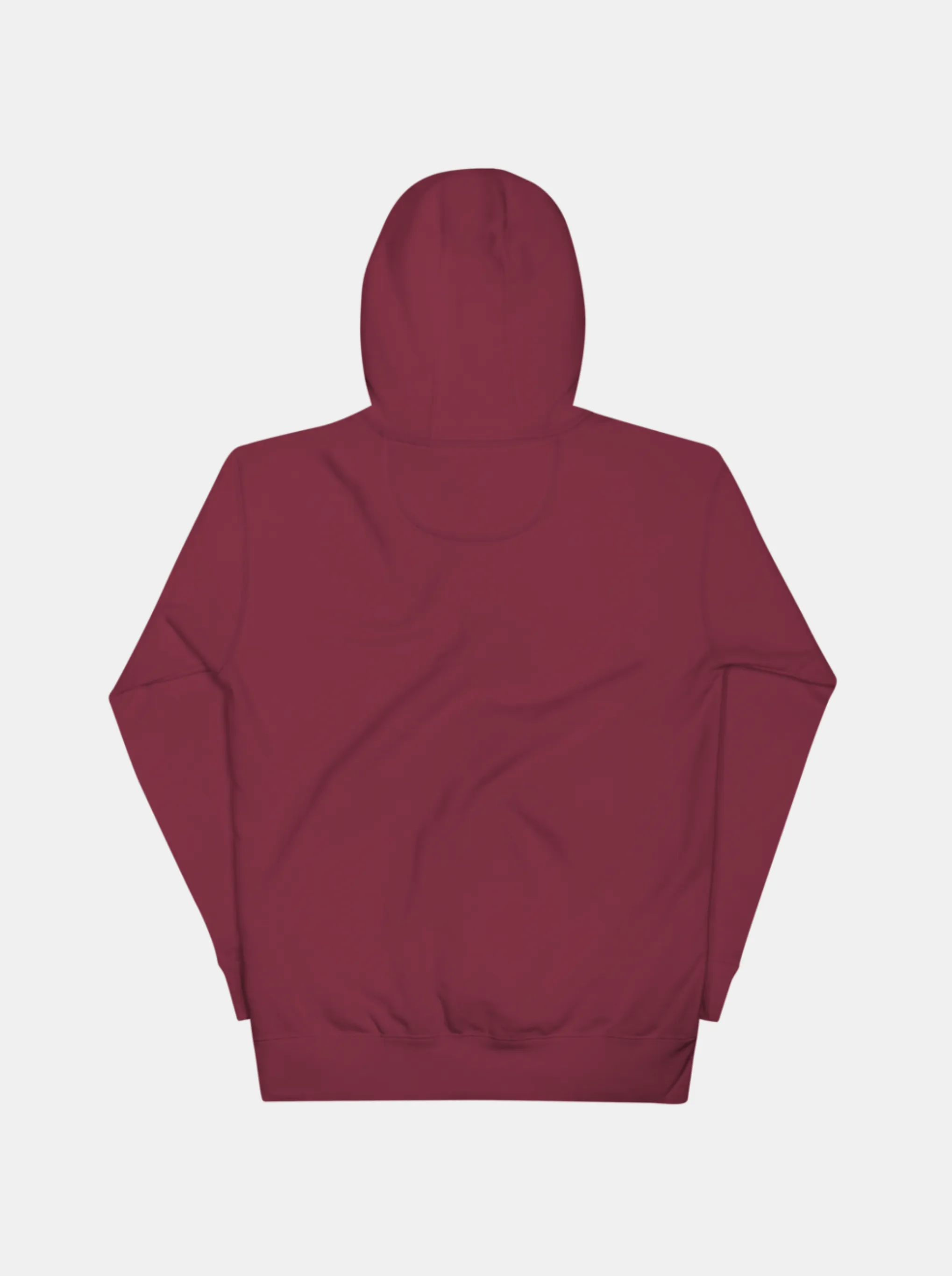 Wings Hoodie